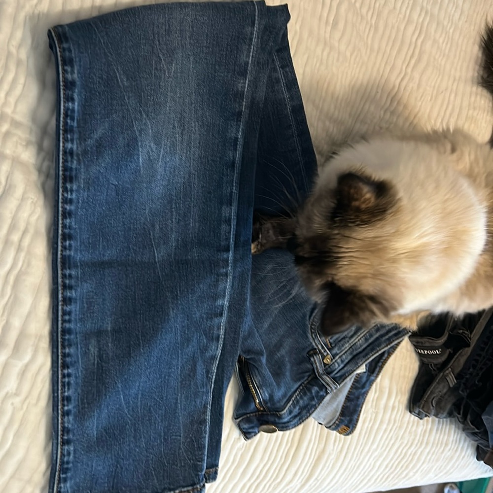 Dark blue jeans